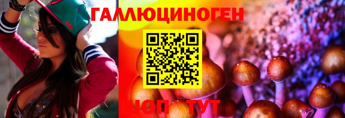Галлюциногенные грибы Psilocybe Красноуфимск